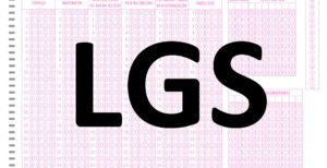 lgs-kurs-incele