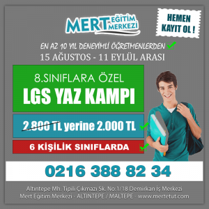 lgs yaz kampı