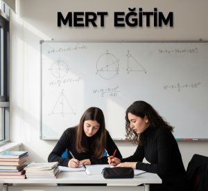 birebir-sultanbeyli-matematik-ozel-dersi
